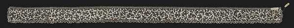 Fragment of Lace Edging