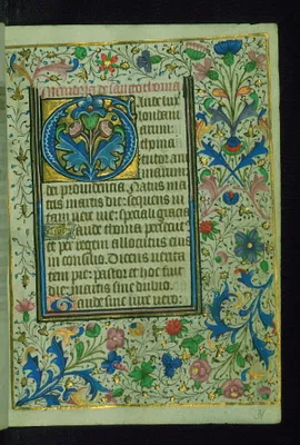 p. 8