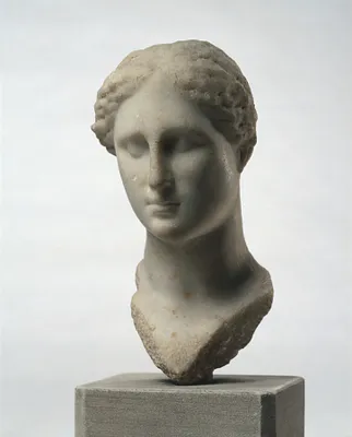 Head of Aphrodite