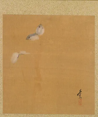 Moths from Album of Paintings by the Venerable Zeshin