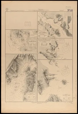 Plans on the west coast of Patagonia, South America
