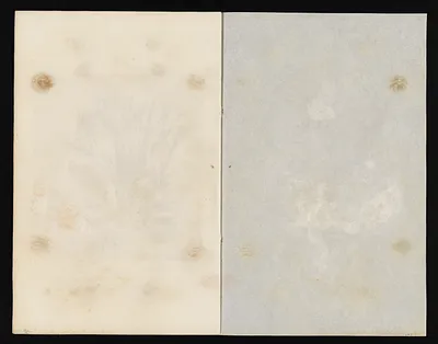 p. 23