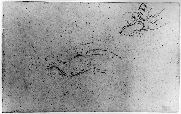 Sketches of Forms