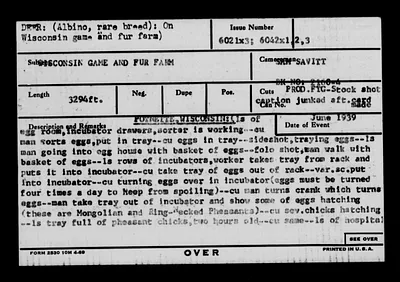 p. 33