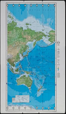 The world