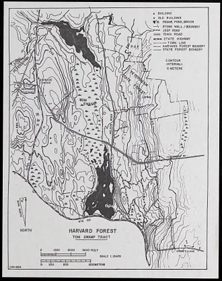 Harvard Forest Tom Swamp Tract