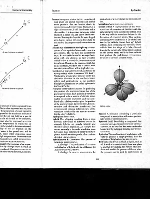 p. 53