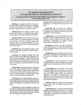 p. 41