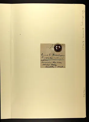 p. 43