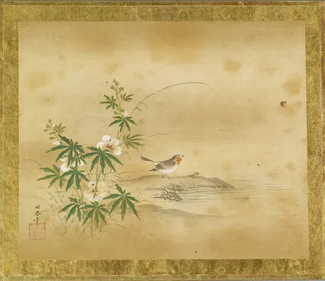 Wagtail and Hibiscus