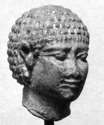 Head of a Man