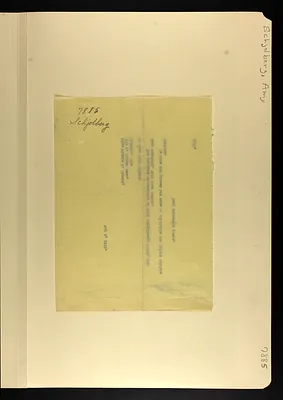 p. 43