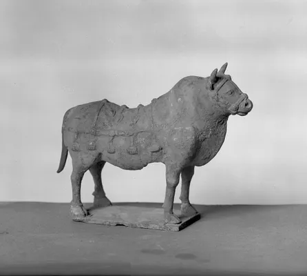 Ox