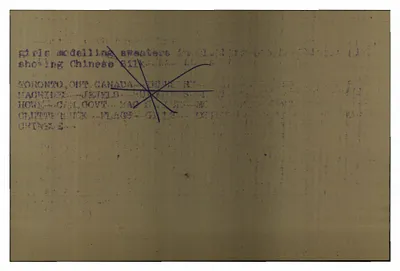 p. 49