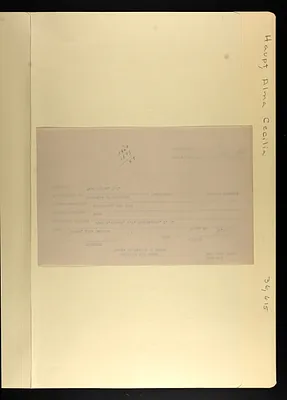 p. 23