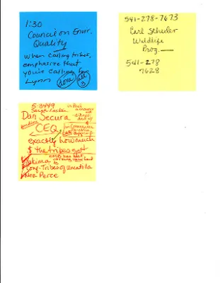 p. 5