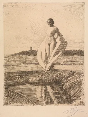 The Swan