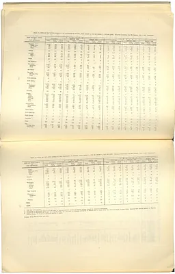p. 31