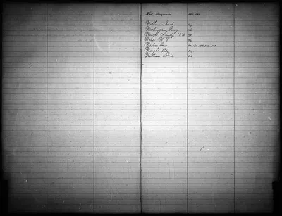 p. 20