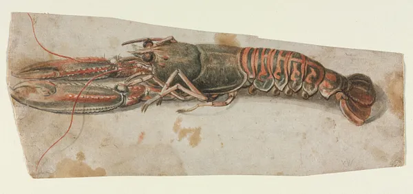 Lobster (recto)