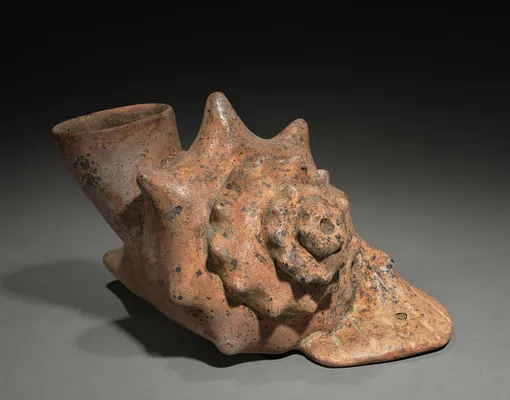 Conch Shell Trumpet Vessel