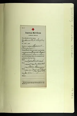 p. 8