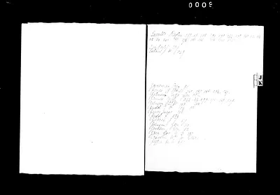 p. 31