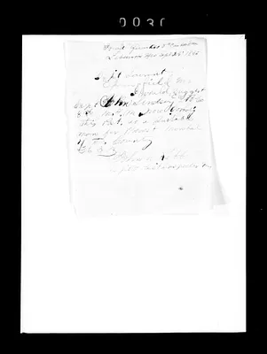 p. 41