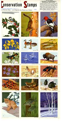 p. 3