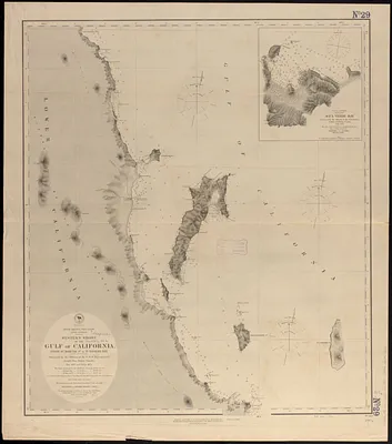 North America, west coast, lower California, western shore of the Gulf of California, from Sn. Marcial Pt. to Sn. Basilio Bay