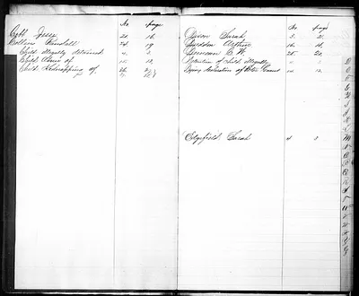 p. 5
