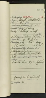 p. 45