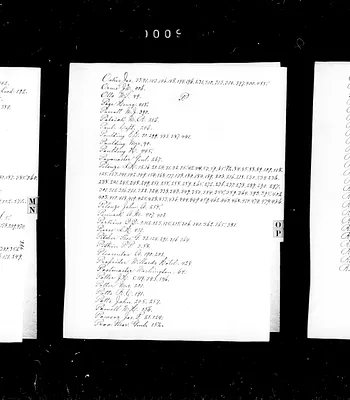 p. 31