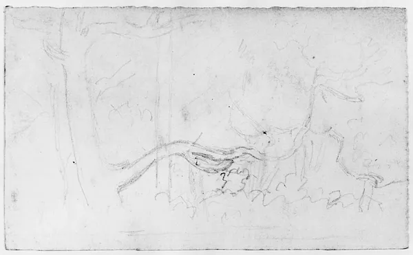 Sketch of Trees