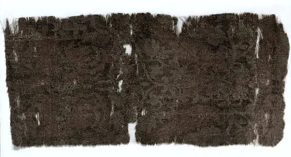 Silk Fragment