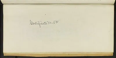 p. 20