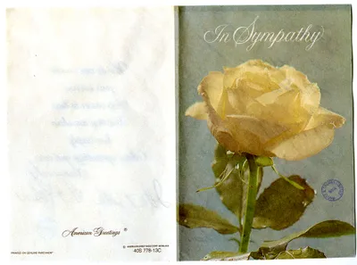 p. 48