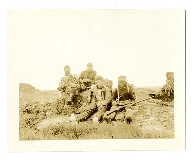p. 7