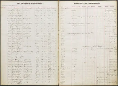 p. 3