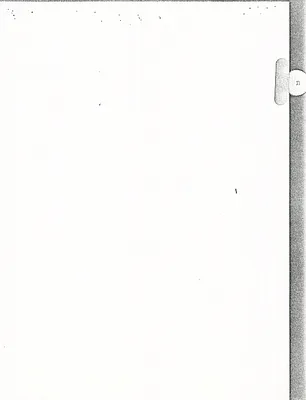 p. 33