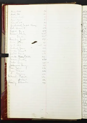 p. 33