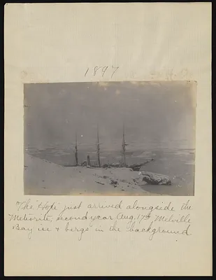 p. 8