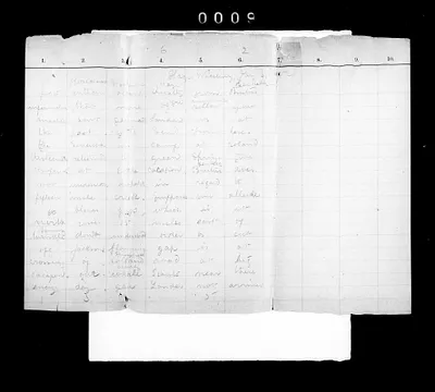 p. 20