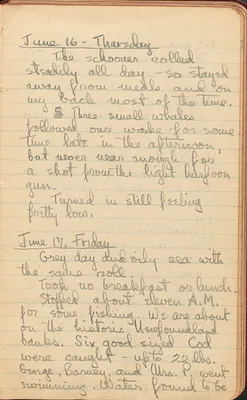 p. 15
