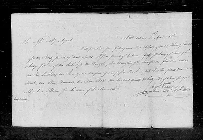 p. 17