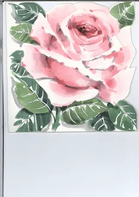 p. 12