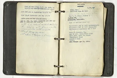 p. 24