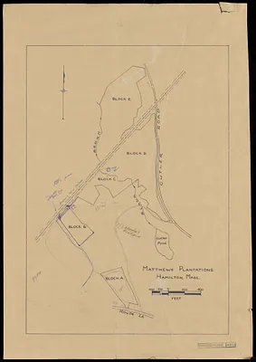 Matthews Plantations Hamilton Mass - Black Brook Plantations
