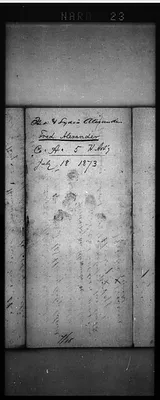 p. 23