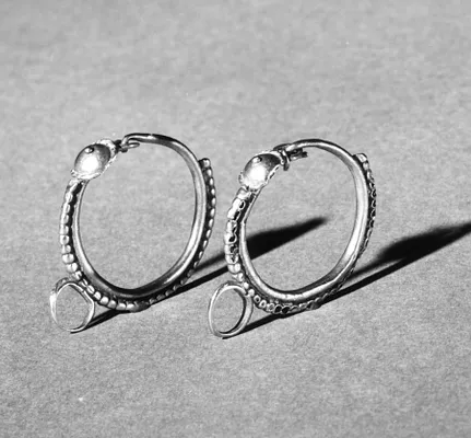 Pair of Earrings